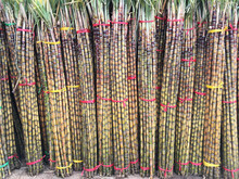 Sugar Cane At Food Market