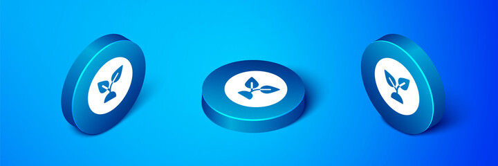 Sticker - Isometric Plant based icon isolated on blue background. Blue circle button. Vector