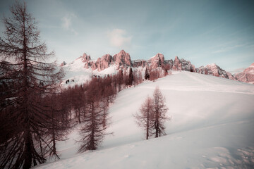 Fantasy pink color effect of winter panorama of Rocchetta dolomite ridge. San Vito di Cadore, Dolomites, Italy