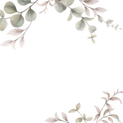 Wall Mural - Watercolor vector card of eucalyptus branches and leaves.