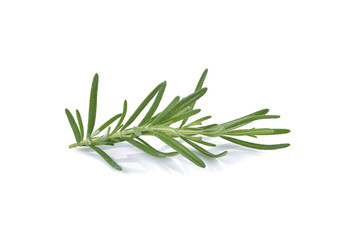 Wall Mural - Sprig of fresh rosemary isolated on white background.