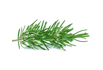 Wall Mural - Rosemary twig isolated on white background