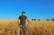 © Ruslan - Wheat field, farmer evaluates the yield and ripeness of wheat