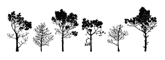 Wall Mural - Set of tree silhouettes of different types and shapes isolated on white background. Illustration.