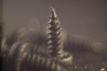 Wall Mural - Closeup shot of wood screws on a black surface, dark background