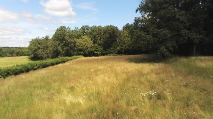 Poster - Prairie dans la Nièvre, vue en rase-motte, Bourgogne