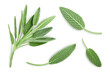 fresh sage herb isolated on white background with clipping path and full depth of field, Top view. Flat lay