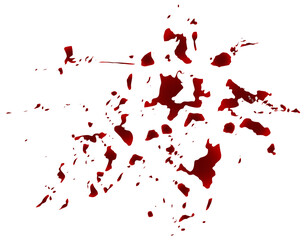 Wall Mural - Blood spatter, realistic texture isolated on white background. Red blot with splashes, spilled paint. Vector object