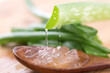 Natural Aloe Skin Care Serum