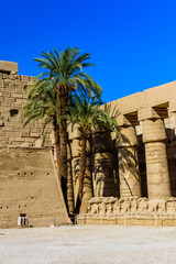 Wall Mural - Palms on ruins of the ancient Karnak temple. Luxor, Egypt