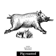 Hand Drawn Sketch Roasted Pig. Vector Black And White Vintage Illustration. Isolated Object On White Background. Menu Design