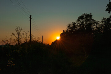 Wall Mural - the sun goes down behind the trees 