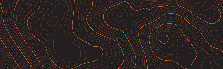 Wall Mural - the stylized height of the topographic map contour in lines and contours. the concept map of a condi