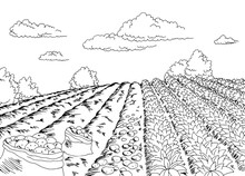 Picking Potatoes Harvest Graphic Black White Landscape Sketch Illustration Vector