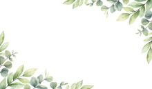 Watercolor Vector Card Of Green Branches And Leaves.