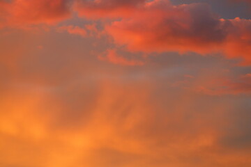 Canvas Print - orange clouds in the blue sky. sunset