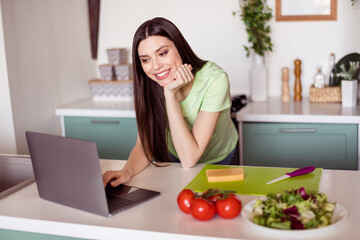 Sticker - Photo of pretty adorable young woman dressed green t-shirt cooking breakfast typing modern gadget indoors house home room