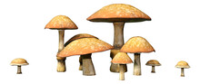 3D Rendering Fantasy Mushrooms On White