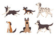 Vector collection of flat dog running, sitting and walking.