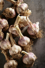 Wall Mural - garlic on a black background