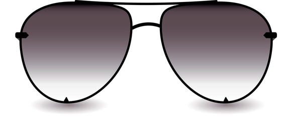  Dark rimmed sunglasses