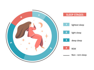 Sleep stages: lightest, light, deep sleep, REM. A nice young woman sleeps and dreams. A healthy, proper dream. Flat cartoon colorful illustration - eps10 vector.