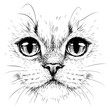 Cat. Creative design. Graphic portrait of a cat in close-up on a white background. Digital vector graphics.