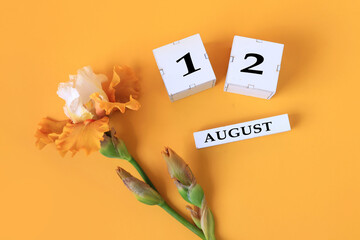 Calendar for August 12 : the name of the month of August in English, cubes with the number 12, yellow iris on a yellow background, top view