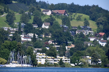 Poster - lucerne