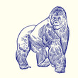 Vintage hand drawn sketch angry walking gorilla