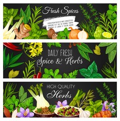 Canvas Print - Herbs, spices and seasonings banners. Vector oregano, basil and ginger, marjoram, onion and tarragon, thyme, saffron and coriander, cilantro, peppercorn and wasabi, garlic, savory and turmeric, lime