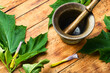 Datura medicinal tincture,datura leaves