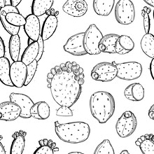 Prickly Pear Fruit. Edible Cactus.Vector   Pattern.