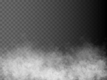 Fog Or Smoke Isolated Transparent Special Effect. White Vector Cloudiness, Mist Or Smog Background. Vector Illustration