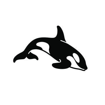 Cartoon killer whale sketch line icon. Сute animals set of icons.