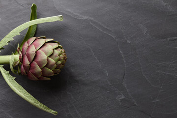 Wall Mural - Fresh purple artichoke on dark gray stone background