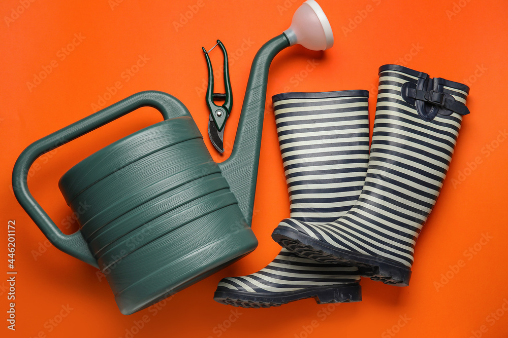 Watering can, gumboots and secateurs on color background