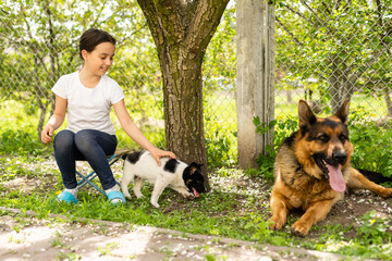 Wall Mural - Cheerful little girl with a dog German shepherd