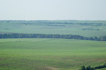 Wall Mural - beautiful summer countryside landscape in europe