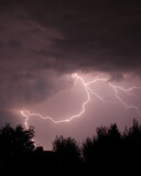 Fototapeta Psy - Lightning strike captured on night sky.