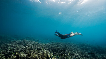  Freediving exploring coral reef