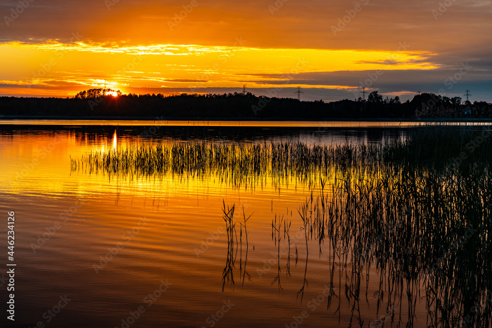 Obraz na płótnie Panoramic summer sunset view of Jezioro Selmet Wielki lake landscape with reeds and wooded shoreline in Sedki village in Masuria region of Poland w salonie