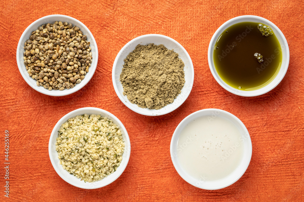 collection of hemp seed products: hearts, protein powder, milk and oil in small white bowls against textured orange paper, superfood concept - obrazy, fototapety, plakaty 