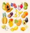 Vector set of high detailed tropical fruits