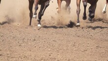 Hooves Of Several Racehorses Raise A Cloud Of Dust. Slow Motion