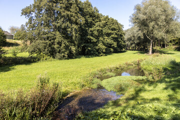 Wall Mural - The infant River Windrush at Barton near the Cotswold village of Guiting Power, Gloucestershire UK