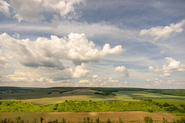 Wall Mural - summer landscape and white clouds over green fields