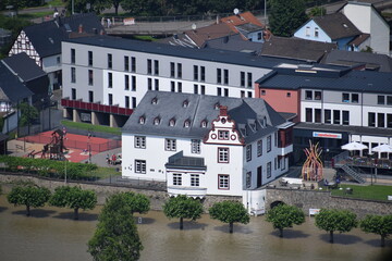 Canvas Print - Bäume im Wasser in LEutesdorf, Rheinhochwasser im Flutsommer 2021