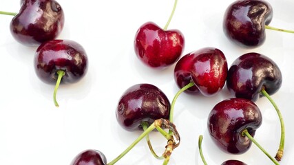 cherries on white background