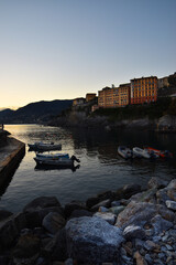 Wall Mural - characteristic colored houses in Camogli overlooking the sea